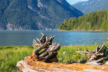 Bella Coola, Kanada 'da güzel bir kıyı şeridi