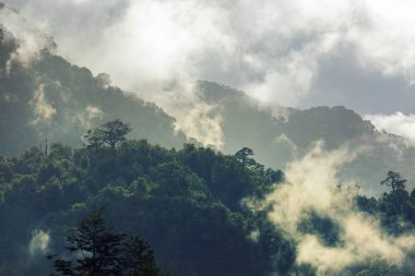 Carretera Austral, Patagonya, Güney Şili boyunca güzel dağ manzaraları