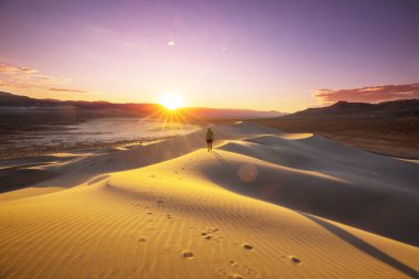 Kum çölünde bir yürüyüşçü. Gün doğumu zamanı.