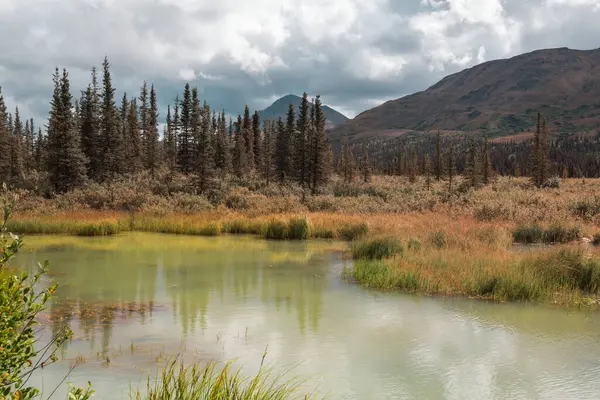 Alaska 'daki Tundra' da huzur gölü