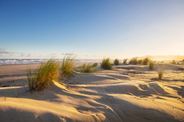 Okyanus kıyısında gün batımında güzel kumlu bir sahil. Brezilya.