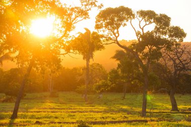 Brezilya, Güney Amerika 'da güzel yeşil kırsal alanlar