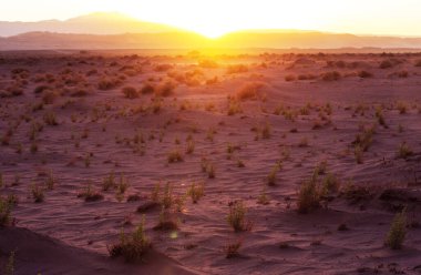 Gün doğumunda çöl, Şili, Atacama