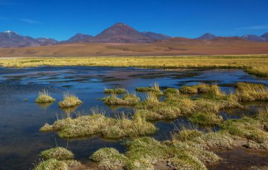 Atacama Çölü, Kuzey Şili 'deki güzel doğal manzaralar.
