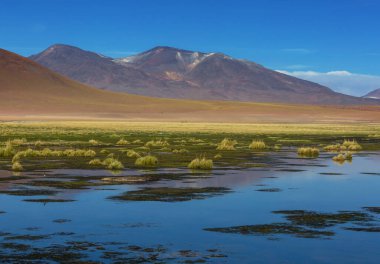 Atacama Çölü, Kuzey Şili 'deki güzel doğal manzaralar.