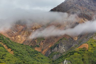 Yazın Alaska 'nın Picturesque Dağları. Kar, kütleleri, buzulları ve kayalık tepeleri kapladı. Güzel doğal arkaplan.