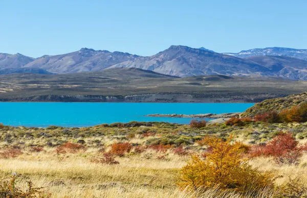 Perito Moreno Ulusal Parkı, Arjantin, Güney Amerika. Güzel renkli sonbahar mevsimi.