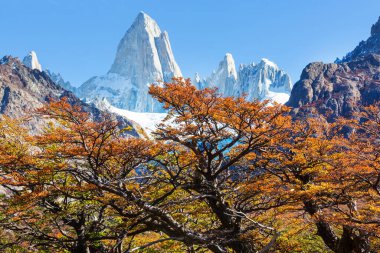 Ünlü Cerro Fitz Roy ve Cerro Torre. Patagonya, Arjantin 'in en güzel ve vurgulanması en zor zirvelerinden biri. Sonbahar mevsimi.