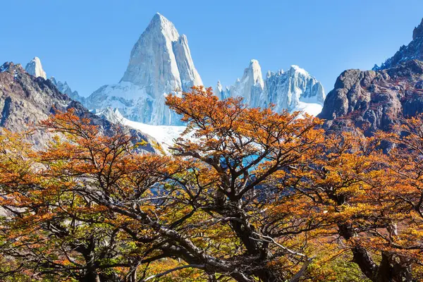 Ünlü Cerro Fitz Roy ve Cerro Torre. Patagonya, Arjantin 'in en güzel ve vurgulanması en zor zirvelerinden biri. Sonbahar mevsimi.