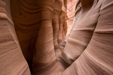 Utah, ABD 'deki Grand Staircase Escalante Ulusal Parkı' ndaki Slot Kanyonu. Utah çöllerinde alışılmadık renkli kumtaşı oluşumları yürüyüşçüler için popülerdir..