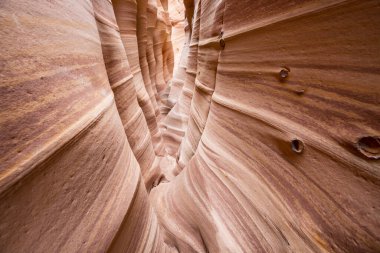 Utah, ABD 'deki Grand Staircase Escalante Ulusal Parkı' ndaki Slot Kanyonu. Utah çöllerinde alışılmadık renkli kumtaşı oluşumları yürüyüşçüler için popülerdir..
