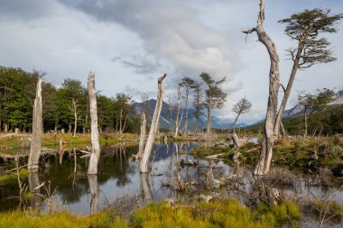 Patagonya 'daki güzel dağ manzaraları. Güney Amerika, Arjantin 'de dağlar gölü.