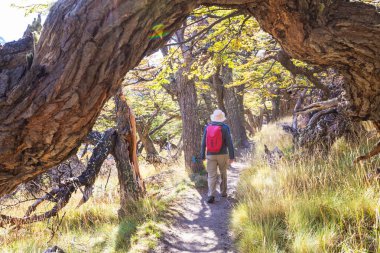 Sonbahar dağlarında yürüyüş. Sonbahar mevsimi teması.
