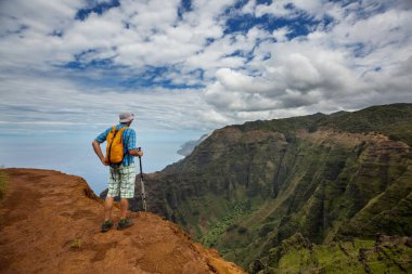 Güzel Hawaii adası Kauai 'de yürüyüş