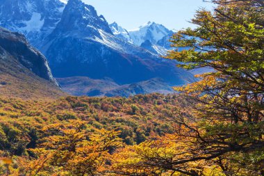 Patagonya dağlarında sonbahar sezonu, Güney Amerika, Arjantin