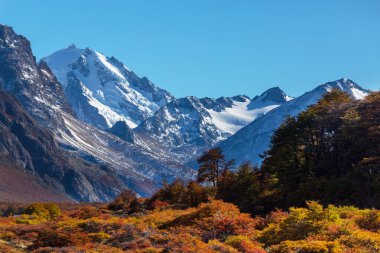 Patagonya dağlarında sonbahar sezonu, Güney Amerika, Arjantin
