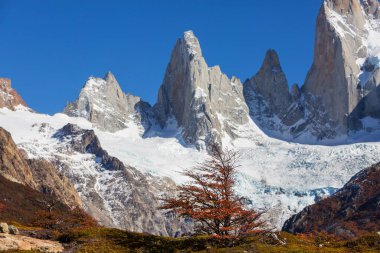 Patagonya dağlarında sonbahar sezonu, Güney Amerika, Arjantin