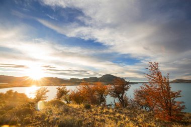 Perito Moreno Ulusal Parkı, Arjantin, Güney Amerika. Güzel renkli sonbahar mevsimi.