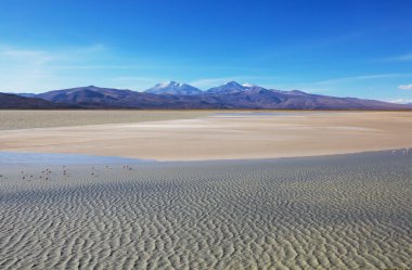 And Dağları 'ndaki Altiplano Gölü, Bolivya, Güney Amerika