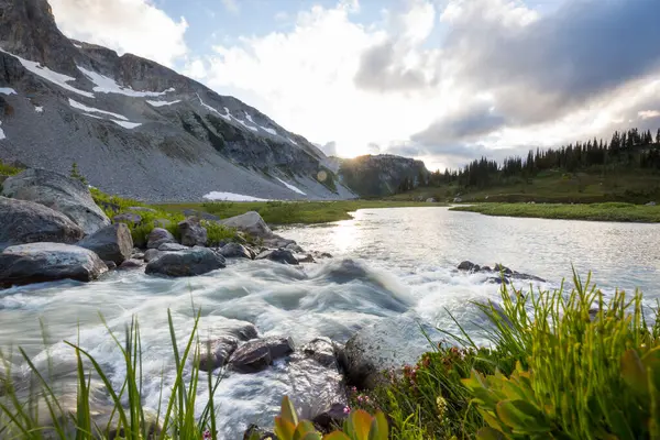 Fresh stream in high mountains