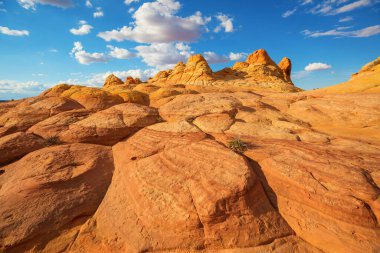 Vermillion Cliffs Vahşi Doğa Bölgesi, Utah ve Arizona 'dan Çakal Buttes.