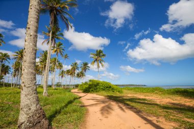 Tropikal sahildeki güzel yaz manzaraları. Tatil arkaplanı.