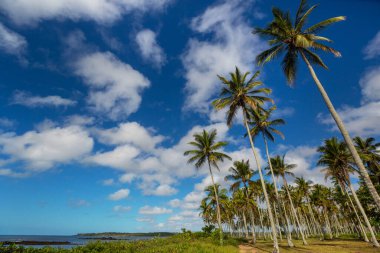 Tropikal sahildeki güzel yaz manzaraları. Tatil arkaplanı.