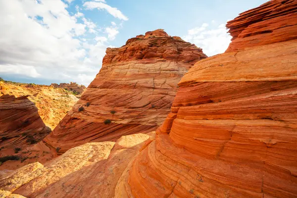 Vermillion Cliffs Vahşi Doğa Bölgesi, Utah ve Arizona 'dan Çakal Buttes.