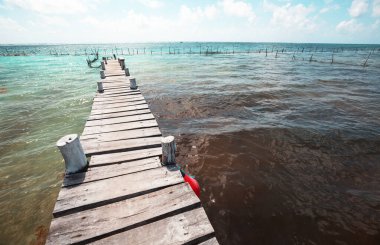 Tropikal sahilde sahil yürüyüşü