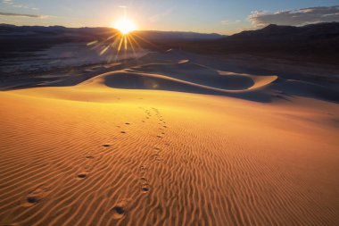 Kaliforniya, ABD 'deki kum tepeleri. Güzel doğa manzaraları gündoğumu arka planında seyahat eder