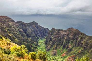 Kauai, Hawaii, ABD 'deki güzel yeşil uçurumlar.