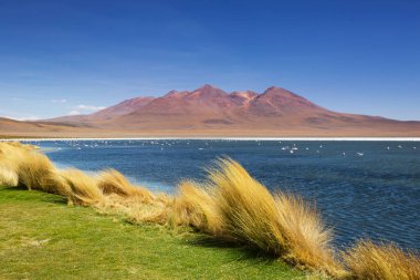 And Dağları 'ndaki Altiplano Gölü, Bolivya, Güney Amerika