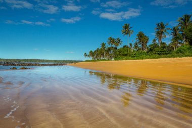 Tropikal sahildeki güzel yaz manzaraları. Tatil arkaplanı.