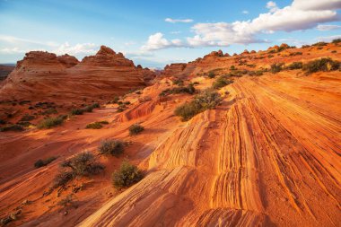Utah, ABD 'de kumtaşı oluşumları. Güzel Alışılmadık manzaralar.