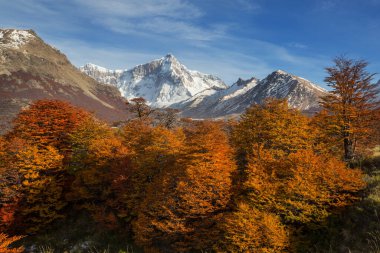 Patagonya dağlarında sonbahar sezonu, Güney Amerika, Arjantin