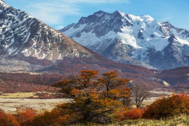 Patagonya dağlarında sonbahar sezonu, Güney Amerika, Arjantin