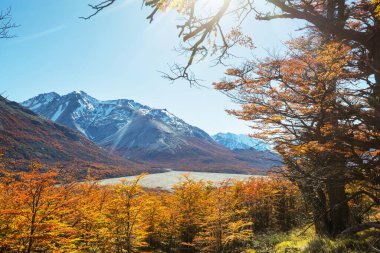 Patagonya dağlarında sonbahar sezonu, Güney Amerika, Arjantin
