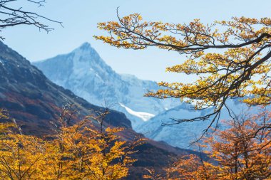 Autumn season in mountains. Colorful natural background.