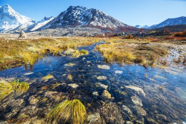 Fresh stream in high mountains