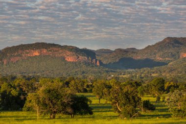 Brezilya, Güney Amerika 'da güzel yeşil kırsal alanlar