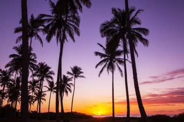 Tropikal sahildeki güzel yaz manzaraları. Tatil arkaplanı.