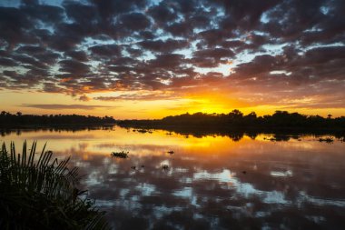 Sunset scene on the lake at sunset summer nature landscapes