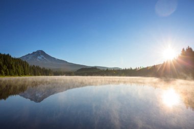 Mount. Hood reflection in Trillium lake,  Oregon, USA. Beautiful natural landscapes