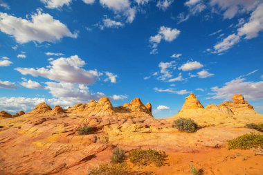 Vermillion Cliffs Vahşi Doğa Bölgesi, Utah ve Arizona 'dan Çakal Buttes.