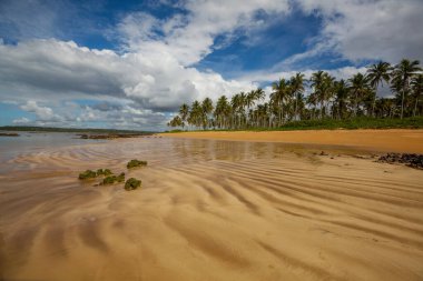 Tropikal sahildeki güzel yaz manzaraları. Tatil arkaplanı.