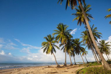 Tropikal sahildeki güzel yaz manzaraları. Tatil arkaplanı.