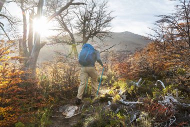 Sonbahar dağlarında yürüyüş. Sonbahar mevsimi teması.