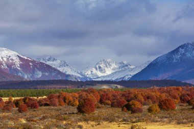 Patagonya dağlarında sonbahar sezonu, Güney Amerika, Arjantin