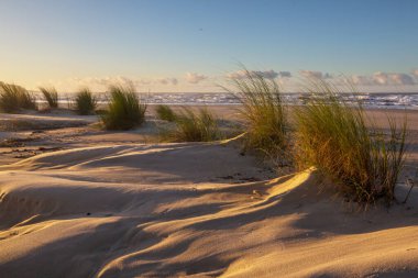 Brezilya 'nın okyanus sahilindeki kum tepeleri.