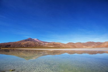 And Dağları 'ndaki Altiplano Gölü, Bolivya, Güney Amerika